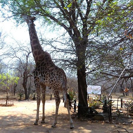 Weltevrede Lodge - Self Catering Houses Marloth Park Exterior photo