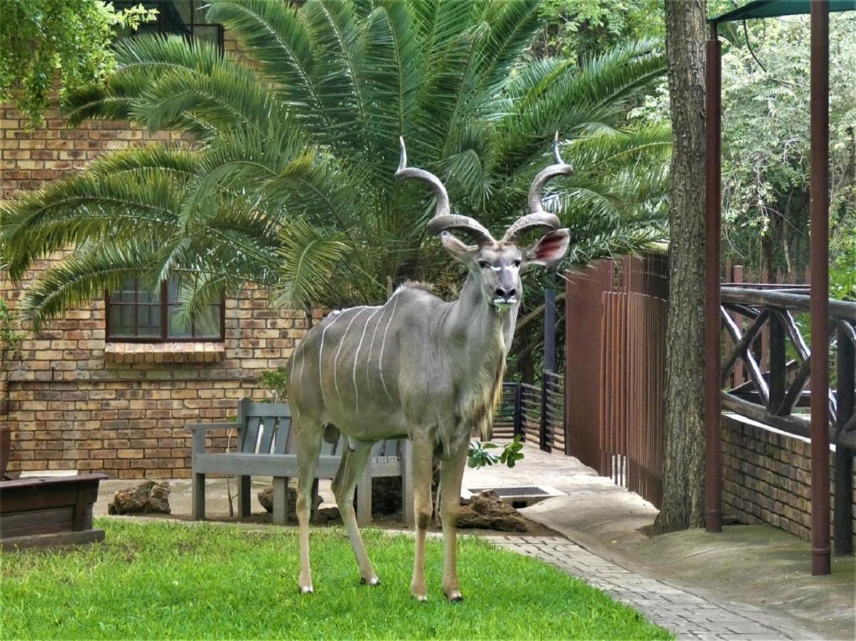 Weltevrede Lodge - Self Catering Houses Marloth Park Exterior photo